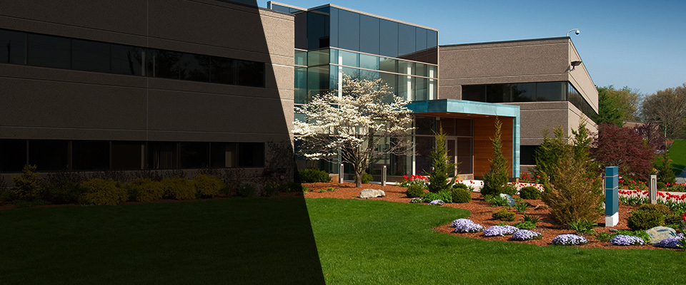 Lake Elsinore Landscapers