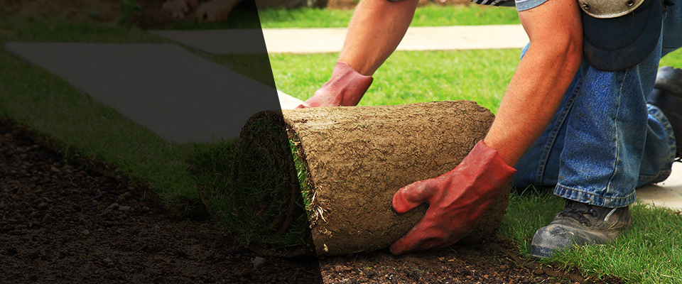 Lake Elsinore Landscapers